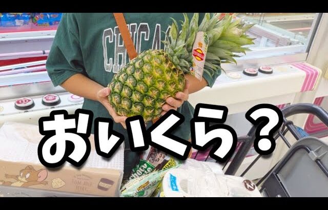【クレーンゲーム】衝撃!!少年が超優良ゲームセンターで果物や生活用品を狙ったら驚きの展開に···【ufoキャッチャー 回遊館】