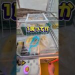 クレーンゲームで野菜が取れる？！そんな事あるん？！☺#クレーンゲーム #ufoキャッチャー #ゲームセンター #クレーンゲーム攻略