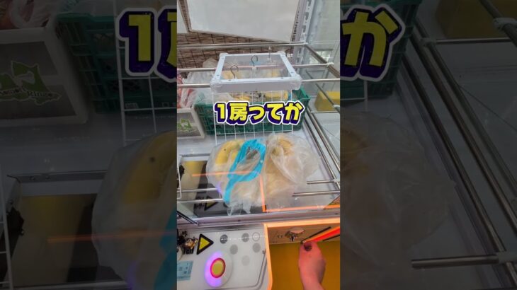 クレーンゲームで野菜が取れる？！そんな事あるん？！☺#クレーンゲーム #ufoキャッチャー #ゲームセンター #クレーンゲーム攻略