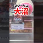 【ゴジータ】ドラゴンボールのゴジータに大沼かます！！！ #クレーンゲーム #プライズ獲得 #ufoキャッチャー攻略 #ゴジータ #ドラゴンボール