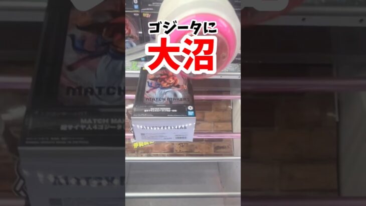 【ゴジータ】ドラゴンボールのゴジータに大沼かます！！！ #クレーンゲーム #プライズ獲得 #ufoキャッチャー攻略 #ゴジータ #ドラゴンボール