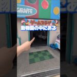 動物園のレトロゲームセンターが昭和過ぎて時が止まってた件について！#クレーンゲーム #ufoキャッチャー #ゲームセンター #クレーンゲーム攻略