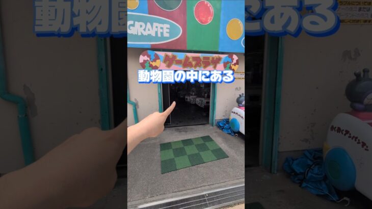 動物園のレトロゲームセンターが昭和過ぎて時が止まってた件について！#クレーンゲーム #ufoキャッチャー #ゲームセンター #クレーンゲーム攻略