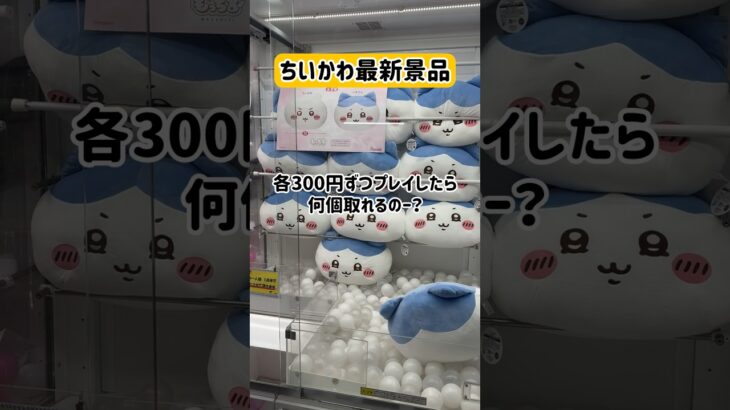 隠れ名店でちいかわ景品企画をしたら面白い結果に！！！#クレーンゲーム #ゲームセンター #ufoキャッチャー #キャロム #キャロム所沢 #ちいかわ #ハチワレ #うさぎ #最新 #チャレンジ