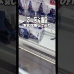 【配信切抜】ゲーセン店員の本気攻略‼️#ゲームセンター #ゲーセン #ゲーム #クレーンゲーム #ufoキャッチャー