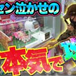 パワー弱いは言い訳です。クレーンゲームのプロがガチで攻略したらこうなった#ゲームセンター #クレーンゲーム #ufoキャッチャー