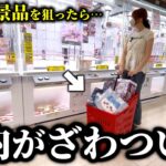 【クレーンゲーム】衝撃⁉︎人気景品を狙ったら設定をフル無視した攻略法が見つかりました…【ufoキャッチャー】