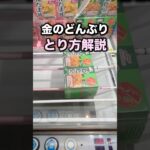 基本技の連続で簡単ゲット　#クレーンゲーム攻略 #クレーンゲーム動画 #ufoキャッチャー