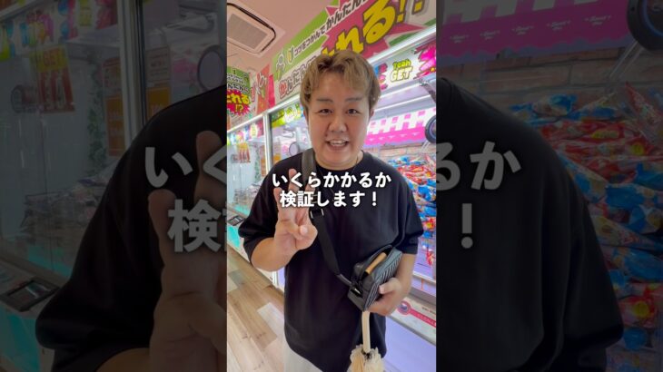 景品３つ取るのにいくらかかるか検証！#ゲームセンター #ゲーセン #クレーンゲーム #ufoキャッチャー