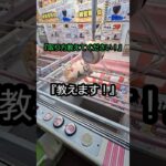 【クレーンゲーム】初心者必見！橋渡しの沼から脱出する裏技教えます！#クレーンゲーム #ufoキャッチャー