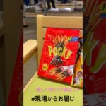 【📍バンダイナムコ】#ufoキャッチャー #クレーンゲーム景品 #クレーンゲーム動画 #クレーンゲーム#GET品#クレーンゲーム攻略#夾娃娃店#和室からお届け#バンダイナムコ
