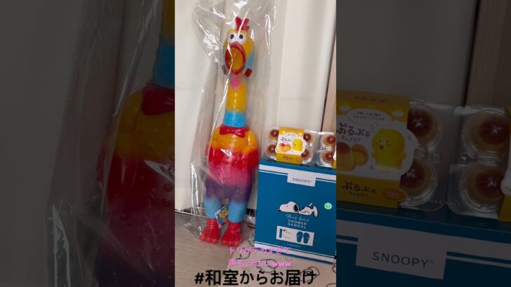 【📍浪漫遊】#ufoキャッチャー #クレーンゲーム景品 #クレーンゲーム動画 #クレーンゲーム#GET品#クレーンゲーム攻略#夾娃娃店#和室からお届け#浪漫遊