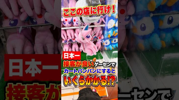 日本一接客が良いゲーセンでカートパンパンにするといくらになるのか挑戦してみたら、、、 #ufoキャッチャー #ゲーセン #ゲームセンター #arcade #clawmachine