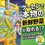 ゲームセンターの景品がまさかの野菜！？クレーンゲームに登場した旬のとうもろこしが話題に