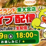 【クレーンゲーム】新景品も続々入荷！閉店まで本気で新景品を乱獲します！🔥｜ハピピランド東大宮店