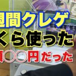 【クレーンゲーム】　【検証】クレーンゲームを１週間やったら総額いくら使うか？