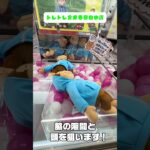 🌟【保存版】レアすぎるパーカージョージを攻略！