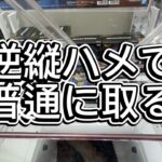 ベジータを逆縦ハメで取る動画　マンガ倉庫飯塚店
