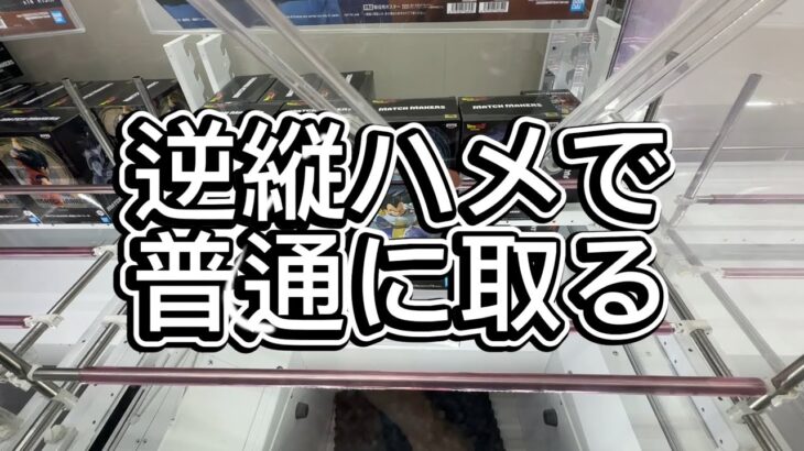 ベジータを逆縦ハメで取る動画　マンガ倉庫飯塚店