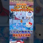 【入手困難】キティのめじるしアクセサリーがクレーンゲームに入ってたので、取れるまで挑戦してみた🔥(ガチャガチャ)
