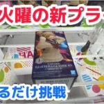 【クレーンゲーム】火曜新プライズをやれるだけ攻略［橋渡し］