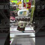 ゲーセンで取りたい景品を狙う前、絶対に見てください。 #クレーンゲーム #ゲームセンター
