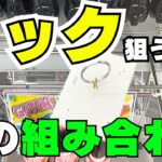 フックで取りたいならこの組み合わせを探せ！お菓子やジュース、トイレットペーパーを取るなら高崎万代！【クレーンゲーム攻略】【ユーフォーキャッチャー裏ワザ】