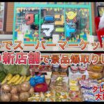 スーパーで買うよりもお得に景品爆取りしてきた【ゲームセンター】