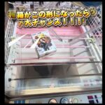 クレーンゲームで簡単に取る方法①側面回し応用編　逆アームのサポート