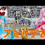 【クレーンゲーム】最新プライズフィギュア！今回はアミパラさん！あの橋幅をどう攻略する！？