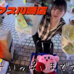 【クレーンゲーム】カートパンパンになるまで遊び尽くした日