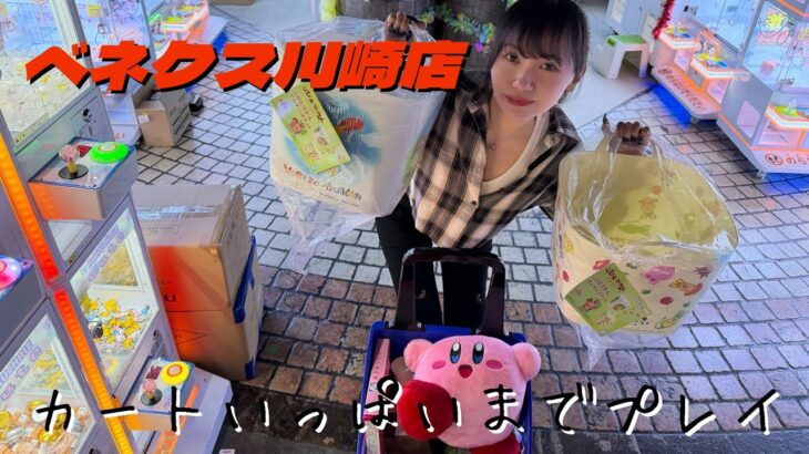 【クレーンゲーム】カートパンパンになるまで遊び尽くした日