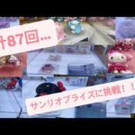【攻略法が…】サンリオ　クレーンゲームに挑戦！！
