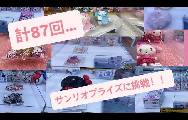 【攻略法が…】サンリオ　クレーンゲームに挑戦！！