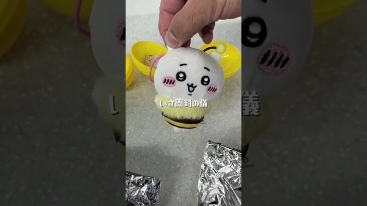 クレーンゲームでちい活🦸他ガチャ購入品🎦#ちいかわクレーンゲーム
