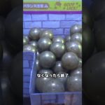 取れないように設定されてる謎台#クレーンゲーム