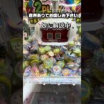 【ちいかわ】お店の看板にツッコミ炸裂w 娘が自力で奇跡のチビハチゲット！？【クレーンゲーム】 #shorts