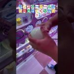 今日もクレーンゲームww