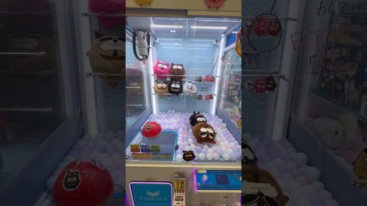 ボールを揺らして景品にぶつけまくるww #shorts #クレーンゲーム #ufoキャッチャー #ゲーセン #clawmachine #arcade