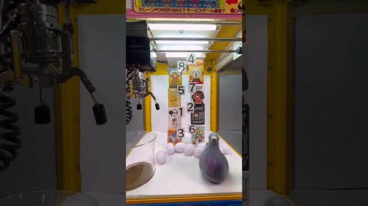 卵を落として中にある景品をゲットしようww #ネタ #自宅 #shorts #クレーンゲーム #ufoキャッチャー #clawmachine #arcade #unboxing #blindbox