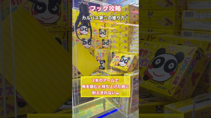 【クレーンゲーム】台湾キャッチャー攻略！獲り方は豊富w挙動がなんせオモロいw【クレーンゲーム】【ufoキャッチャー】【台湾キャッチャー】