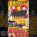 プロがフック設定全台1回ずつプレイしたら何個取れる!? #shorts #クレーンゲーム #ufoキャッチャー # ゲーセン #ゲームセンター #arcade