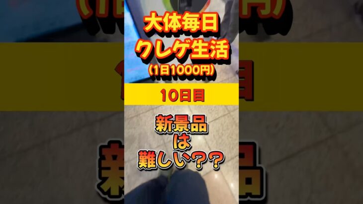 【大体毎日クレゲ生活】10日目🦍新景品は難しい？　#クレーンゲーム #クレーンマート #ufoキャッチャー