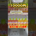 千葉の衝撃的なゲーセン！10000円で何個獲れる？ #shorts #クレーンゲーム #ufoキャッチャー #cranegame