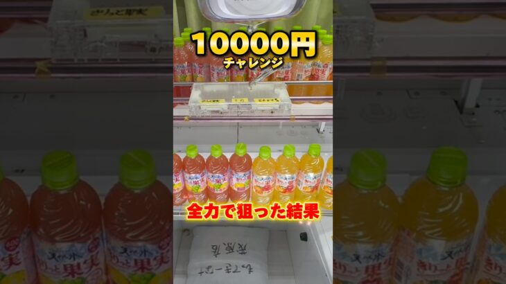 千葉の衝撃的なゲーセン！10000円で何個獲れる？ #shorts #クレーンゲーム #ufoキャッチャー #cranegame