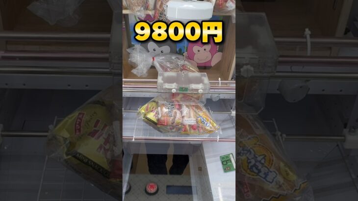 商業施設にある神戸の衝撃的なゲーセン！10000円で何個獲れる？ #shorts # #クレーンゲーム #ufoキャッチャー #cranegame