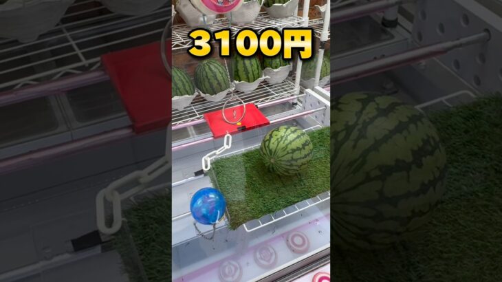 オープンから一年を迎えた山陰最大級のゲーセンの今！10000円で何個獲れる!? #shorts #クレーンゲーム #ufoキャッチャー #cranegame