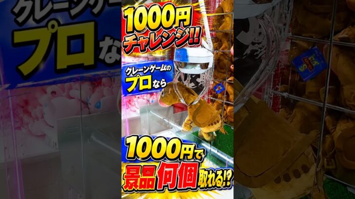 1000円だけでどんな景品でも取ってくれる達人がヤバすぎた、、、#shorts #クレーンゲーム #ufoキャッチャー # ゲーセン #ゲームセンター #arcade