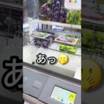 【一撃100円】約1,500円の高級ゼリーを激ムズL字フックで攻略する小3男子ww #クレーンゲーム #ufoキャッチャー  #ゲーセン