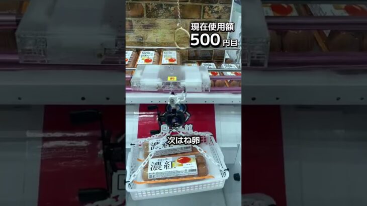 1日1000円しか使えないクレーンゲームの景品だけで生活142日目 #clawmachine #クレーンゲーム #ゲームセンター #ufoキャッチャー #ゲーセン #フック設定